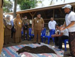 Kotoran Ternak Punya Nilai Ekonomis Tinggi