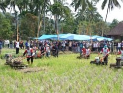 Nagari Sumpur Launching Bajak Gratis