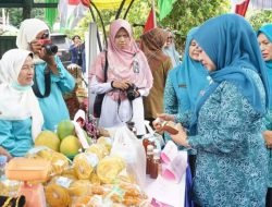 Tim Provinsi Klarifikasi Posyandu Mawar Jorong Saruaso Timur