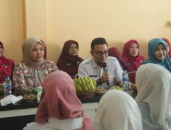 Tim Verifikasi PKK Kunjungi Nagari Padang Gantiang