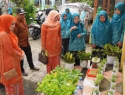 TP-PKK Kota Lakukan Penilaian Lapangan Lomba Gerakan PKK