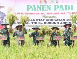 Kasad Panen Raya Padi dan Serahkan Alsintan Kepada Petani