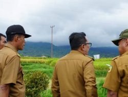 GUNUNG MERAPI ERUPSI LAGI, BUPATI EKA TURUN KELAPANGAN