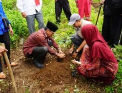DINIYYAH WAFA CARE BERSAMA ASAR HUMANITY SUMBAR TANAM 1000 POHON