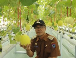 WAKO PAYAKUMBUH RIDA ANANDA APRESIASI KISAI AGRO