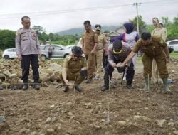 PEMDA DAN POLRES SOLOK LAKSANAKAN GIAT PENANAMAN JAGUNG