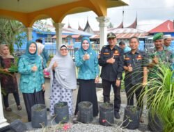 KETUA TP-PKK KABUPATEN SOLOK LOUNCHING GERTAM CABAI