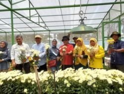 MONITORING PENGEMBANGAN HOLTIKULTURA, KEMENTAN RI KUNKER KE KOTA SOLOK