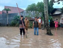 Wawako Tinjau Banjir di Kelurahan Tanah Garam