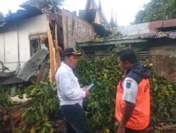 Pohon Timpa Rumah Warga Koto Baru