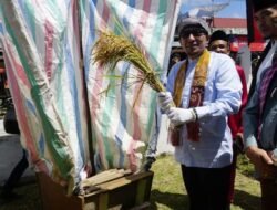 Mairiak Padi Salibu Tandai Pembukaan Festival