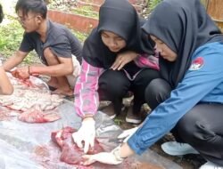 Dispangtan Turunkan Petugas Pemeriksaan Hewan Kurban 20 Lokasi