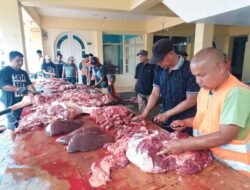 695 Hewan Kurban Disembelih di 89 Lokasi