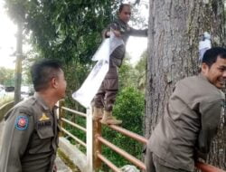 Satpol PP Damkar Imbau Peserta Pemilu Tertib Pasang APS