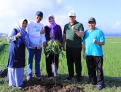 PEMKO SOLOK GELAR SABTU HIJAU DAN MENANAM POHON SECARA BERSAMA SAMA