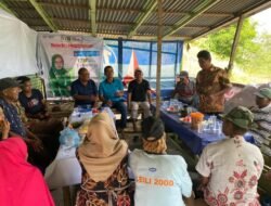 Basaluang, Bagurau Dikelok Tuak Bijo Kamis Mendatang