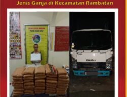 Tim Tarantula Polres Tanah Datar Berhasil Menggagalkan Upaya Pengiriman Ganja Seberat 45 kilogram ke Pulau Jawa.