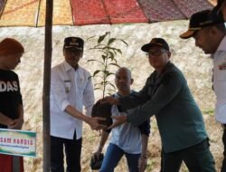 Peringati HMPI, Bupati Safaruddin Dampingi Wakil Gubernur Tanam Pohon Bersama di Malanca