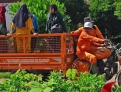 Dinas Lingkungan Hidup (DLH) Kabupaten Dharmasraya Buka Layanan Eksekutif Jemput Sampah