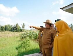 Lahan Dalam Proses Administrasi
