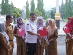Bupati Serahkan Mobil Ambulans Sebanyak Tujuh Unit Dari DAK Khusus Dinkes