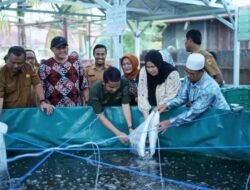 POKDAKAN SIMPRO MANDIRI TERIMA BATUAN PRASARANA BUDIDAYA IKAN NILA