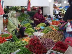 Cabai Rawit, Bawang Daun dan Seledri Turun Harga