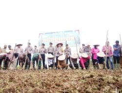 POLRES BERSAMA PEMDA TANAM JAGUNG