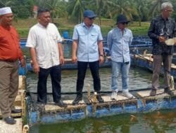 DINAS PERTANIAN KOTA SOLOK DORONG POKDAKAN TINGKATKAN PRODUKSI IKAN TAWAR