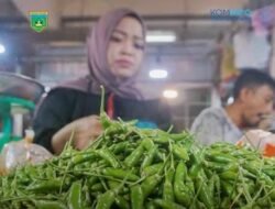 Harga Cabai Rawit Turun Signifikan