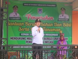 Pemko Plus TP.PKK Serahkan Bantuan Bibit Pada KWT Kota Payakumbuh