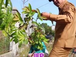Gebrakan 100 Hari Jon Firman Pandu–Candra Hadirkan Lingkungan Dan Layanan Publik Lebih Nyaman