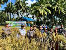 Basawah Pokok Murah, Inovasi Jon Firman Pandu–Candra Untuk Petani