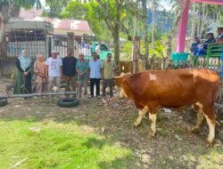 Penyaluran Hewan Qurban Difokuskan Pada Empat Titik Prioritas