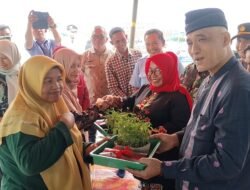 GERAKAN MENANAM CABAI, UPAYA KABUPATEN SOLOK KENDALIKAN INFLASI