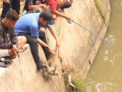 WAKO SOLOK LEPAS IKAN TAMBAHAN PADA LOMBA MANCING