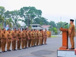 Bupati Pasaman Welly Suhery : Rekrutmen P3K Akan Diperketat