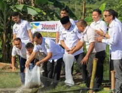 Pasaman Luncurkan Demplot Perikanan Milenial