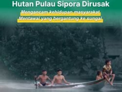 Ancaman Ekologis Bayangi Mentawai, Pemerintah Didesak Perkuat Ketahanan Bencana