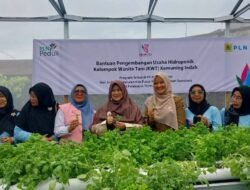 Srikandi PLN Hadirkan Green House Hidroponik, Dorong Lahirnya Kelompok Dasawisma