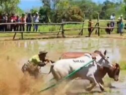 Tradisi Anak Nagari yang Menggairahkan Wisata dan Ekonomi Lokal