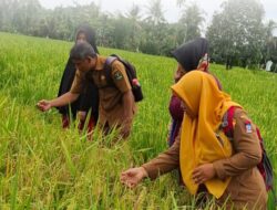 JIAT Dibangun, Petani di Padang Tak Galau Lagi Hadapi Musim Kemarau