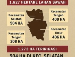 Pariaman Perkuat Ketahanan Pangan Lewat Optimalisasi Lahan Sawah