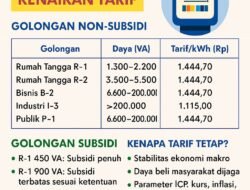 Tarif Listrik Tetap, Pemerintah Jaga Daya Beli Masyarakat