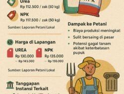 Dugaan Pelanggaran Harga Pupuk Subsidi di Pesisir Selatan, Instansi Terkait Dinilai Tutup Mata