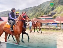 Gubernur Cup III Pacu Kuda Pabasko Siap Digelar: Bancalaweh Jadi Panggung Tradisi & Prestasi