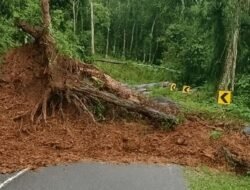 Jalur Lintas Provinsi Pasbar–Pasaman Putus Total di Rimbo Kejahatan
