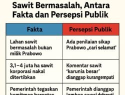 Prabowo dan Penertiban Sawit Bermasalah, Antara Fakta dan Persepsi Publik