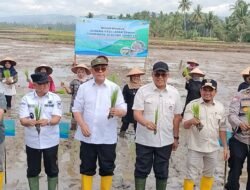 Rehabilitasi Sawah Pascabencana Hidrometeorologi di Kabupaten Solok Dimulai