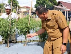 Wali Kota Pariaman Dorong Pemanfaatan Lahan Tidur Untuk Kemandirian Pangan